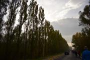 DSC_0184.JPG